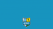 Goal Tor GIF by ChemnitzerFC