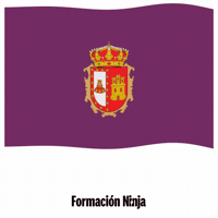 Castilla Y Leon Flag GIF by Formación Ninja