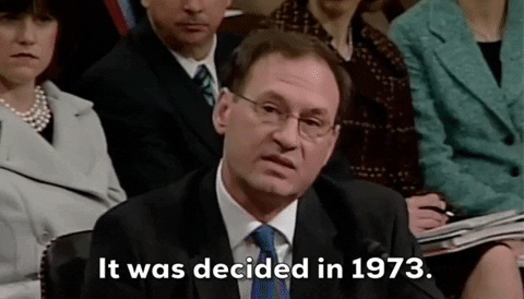 Supreme Court Abortion GIF by GIPHY News