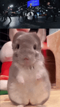Boom Sue GIF