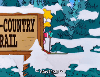 Lets Go Sport GIF by The Simpsons
