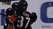 happy ice hockey GIF by NHL