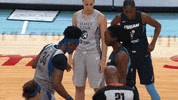 AtlantaDream sports basketball womens basketball wnba GIF