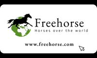 Horses Cheval GIF by Freehorse