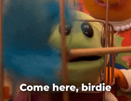 Come here, birdie