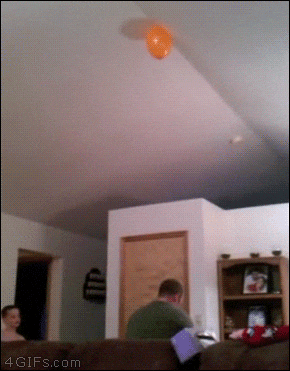 DailyDoseOfAwesome giphyupload GIF