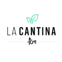 Lacantina Sticker by Silvina