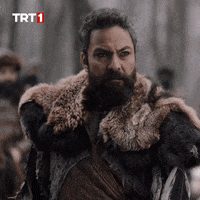 Trt1 Alparslan GIF by WASS Medya