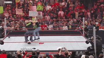 triple h wrestling GIF by WWE