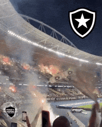 Libertadores Bfr GIF