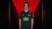 Well Done Applause GIF by Bundesliga