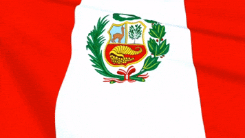 Peru Peruvian GIF