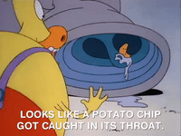 rockos modern life nicksplat GIF