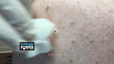 pop GIF