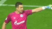 Football Soccer GIF by FC Schalke 04