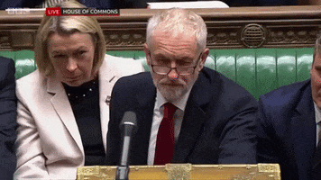 news uk british brexit parliament GIF