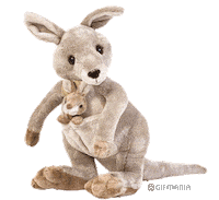 kangaroo STICKER