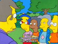 Season 1 GIF by The Simpsons