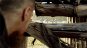 go season 4 GIF by Black Sails