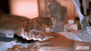 Serious Drama GIF by ION Mystery