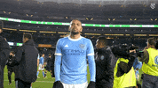 Major League Soccer Sport GIF by NYCFC