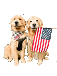 United States Dogs Sticker