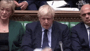 brexit parliament boris johnson GIF
