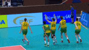 GIF by Volleyball World