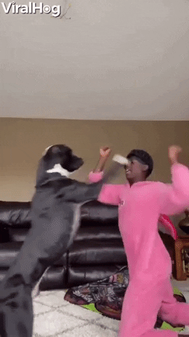 Video gif. Man in a pink onesie is play fighting his dog. The man is moving around on his knees as the dog jumps up and pushes him around and they both topple over.