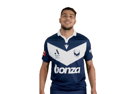 Football Shrug Sticker by Melbourne Victory FC