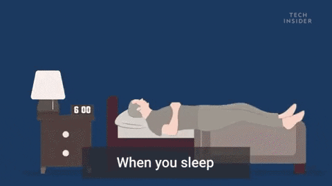 SmartyZebra giphygifmaker giphyattribution GIF