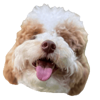 Happy Dog Sticker
