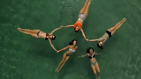 viceland GIF by JUNGLETOWN