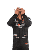 Max Wilson Stockcar Sticker by Stock Car Brasil