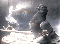 Relax Meditating GIF