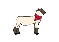 Sheep Sticker by Belstra Milling Company