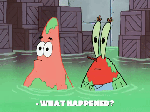 season 8 GIF by SpongeBob SquarePants