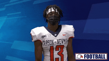 Robot GIF by Carson-Newman Athletics