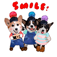 Smile Sticker by patissierharinezumi