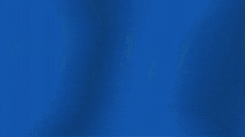Football Sport GIF by Seattle Seahawks