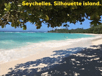 Indian Ocean Travel GIF by world-weather.ru