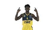 Ewe Baskets Basketball Sticker by EWE Baskets Oldenburg