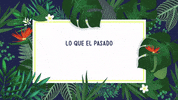 GIF by Sony Music Colombia