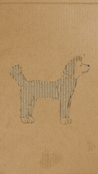 Dog Shave GIF by cintascotch