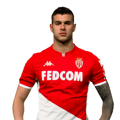 Ligue 1 Football Sticker by AS Monaco