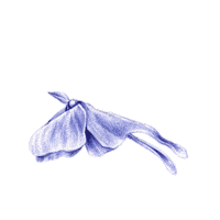 New Music Animation Sticker by ANTI- Records