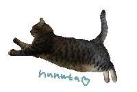 Cat 走る Sticker