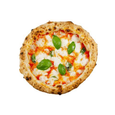 sophialorenrestaurant pizza sophia loren sophia loren Sticker