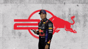 Red Bull Sport GIF by Oracle Red Bull Racing
