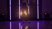 Washington Huskies Softball GIF by NCAA Championships